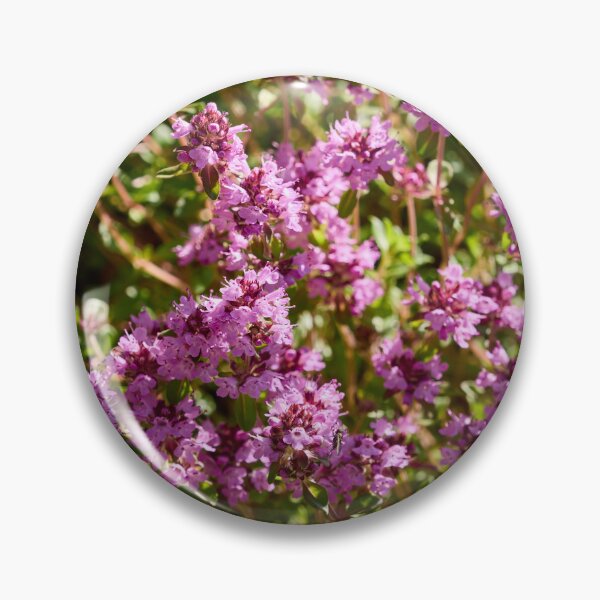 Item preview, Pinks. Thyme designed and sold by Jouko Lehto Photography.