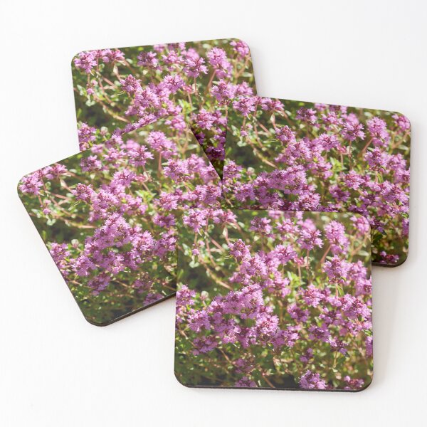 Item preview, Pinks. Thyme designed and sold by Jouko Lehto Photography.
