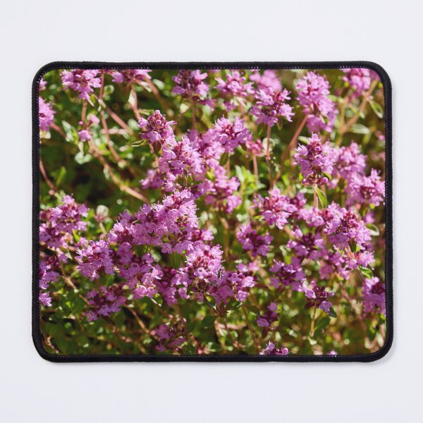 Item preview, Pinks. Thyme designed and sold by Jouko Lehto Photography.
