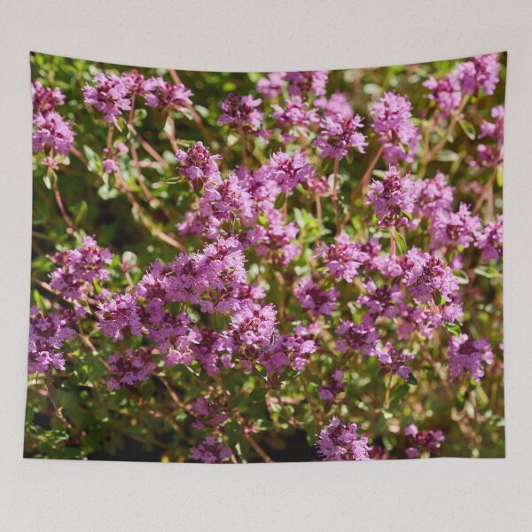 Item preview, Pinks. Thyme designed and sold by Jouko Lehto Photography.
