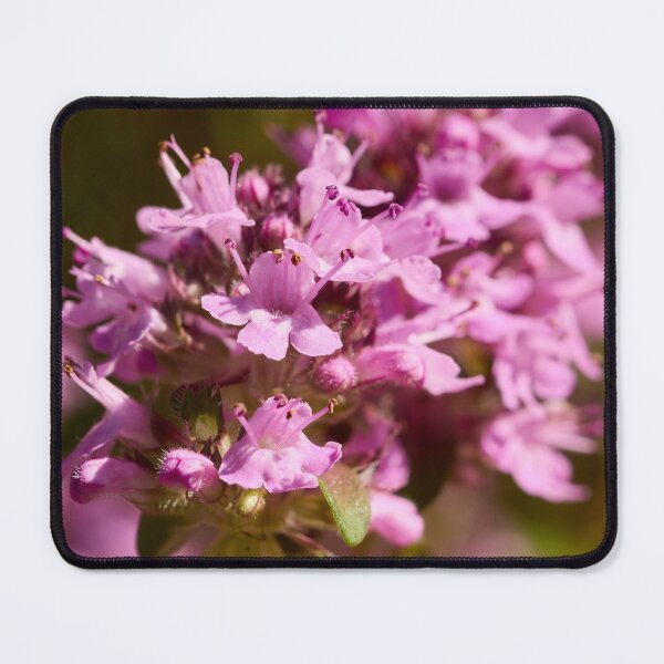 Item preview, Can you smell it. Thyme designed and sold by Jouko Lehto Photography.