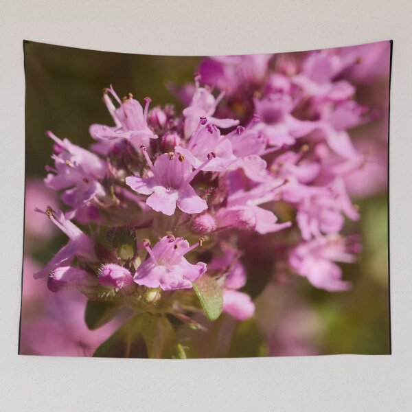 Item preview, Can you smell it. Thyme designed and sold by Jouko Lehto Photography.