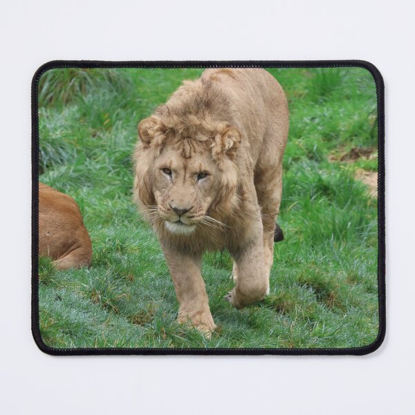 Item preview, The Young Prince designed and sold by LeanneAllen.