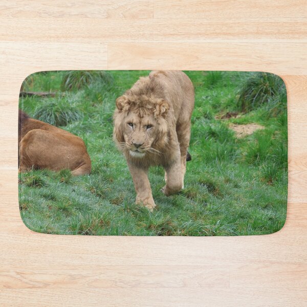 Item preview, The Young Prince designed and sold by LeanneAllen.
