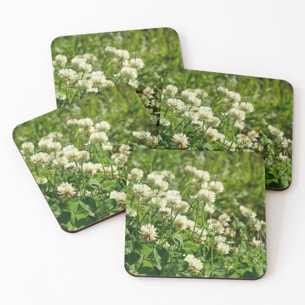 Item preview, The field of White Clover designed and sold by Jouko Lehto Photography.