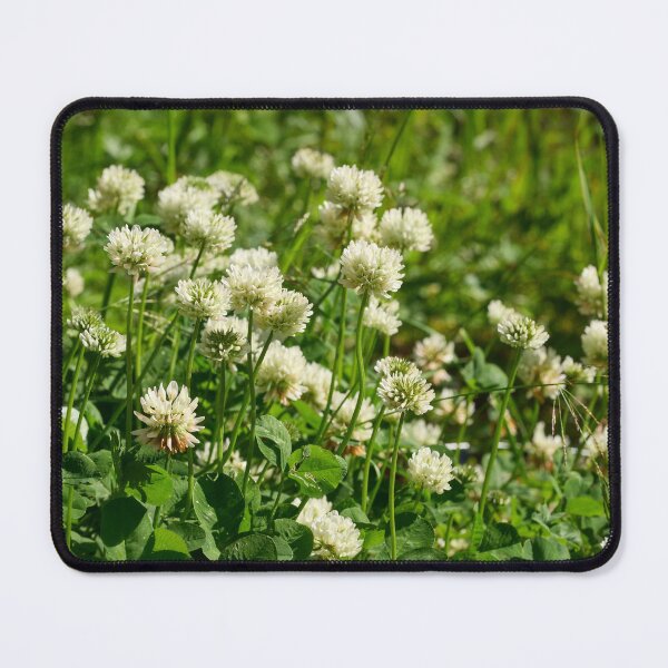 Item preview, The field of White Clover designed and sold by Jouko Lehto Photography.
