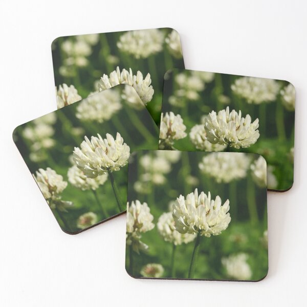 Item preview, Small beauty. White Clover designed and sold by Jouko Lehto Photography.
