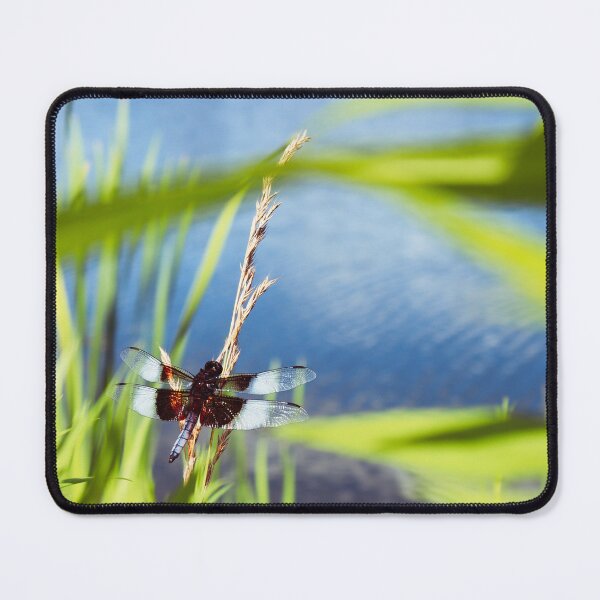 Item preview, Dragonfly by the Water’s Edge designed and sold by Mo & Ko Design.