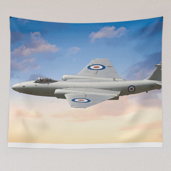 Item preview, English Electric Canberra PR9 designed and sold by Skyframe Aviation.
