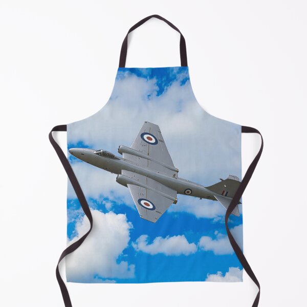 Item preview, English Electric Canberra PR9 designed and sold by Skyframe Aviation.