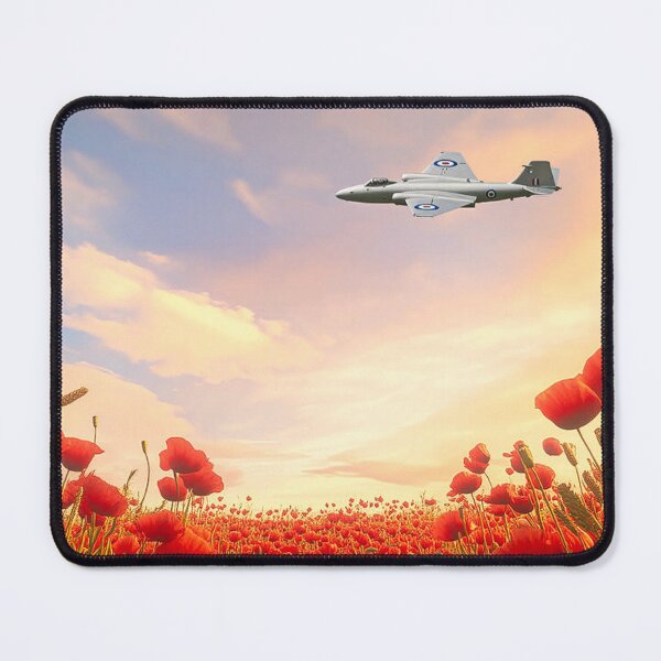 Item preview, English Electric Canberra PR9 Respects designed and sold by Skyframe Aviation.