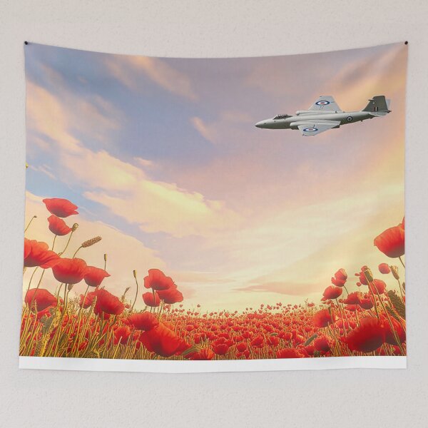Item preview, English Electric Canberra PR9 Respects designed and sold by Skyframe Aviation.