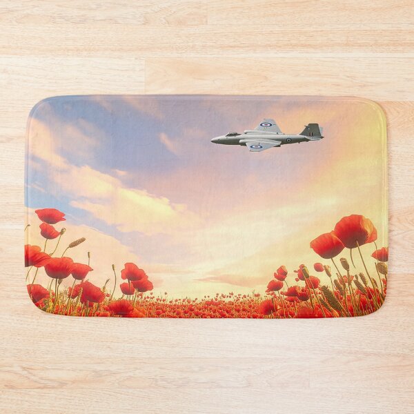 Item preview, English Electric Canberra PR9 Respects designed and sold by Skyframe Aviation.