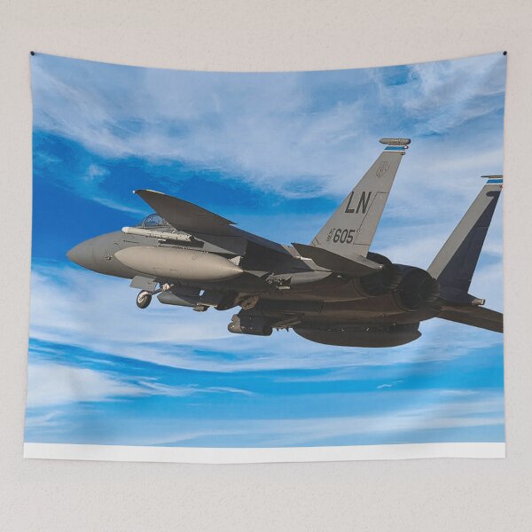 Item preview, McDonnell Douglas F-15E designed and sold by Skyframe Aviation.