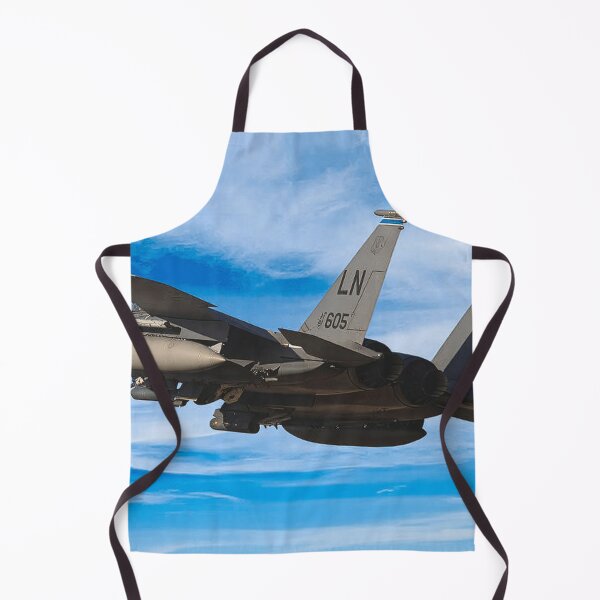 Item preview, McDonnell Douglas F-15E designed and sold by Skyframe Aviation.