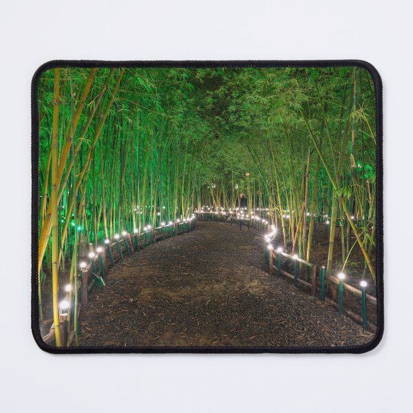 Item preview, Zen Forest at Sun World Wonders theme park designed and sold by WorldScenery.