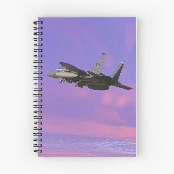 Item preview, McDonnell Douglas F-15E designed and sold by Skyframe Aviation.