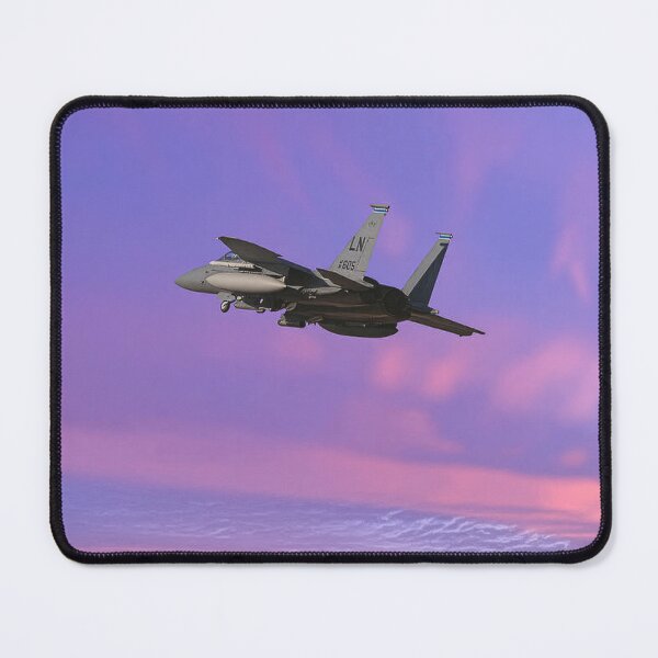Item preview, McDonnell Douglas F-15E designed and sold by Skyframe Aviation.