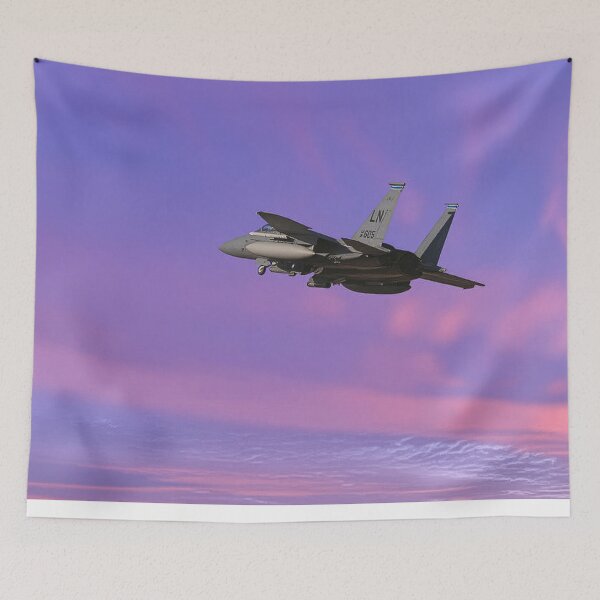 Item preview, McDonnell Douglas F-15E designed and sold by Skyframe Aviation.