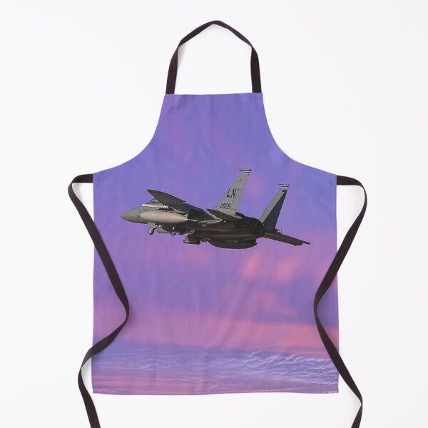 Item preview, McDonnell Douglas F-15E designed and sold by Skyframe Aviation.