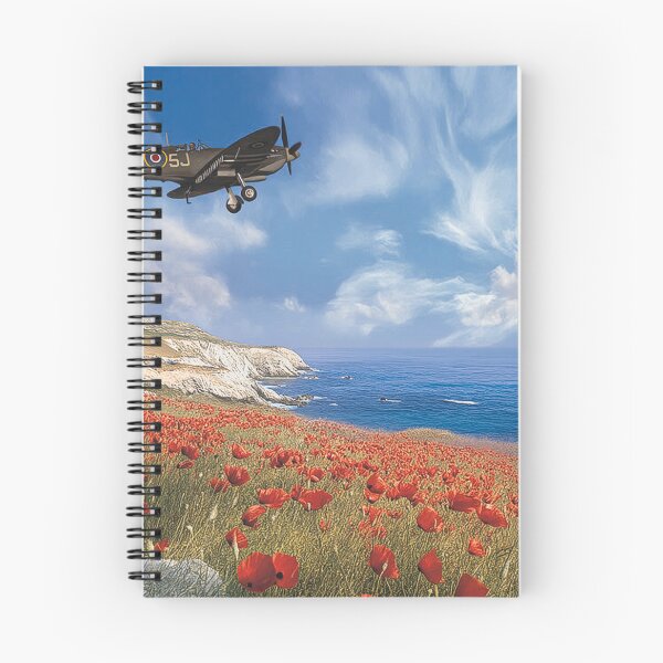 Item preview, Supermarine Spitfire Respect designed and sold by Skyframe Aviation.