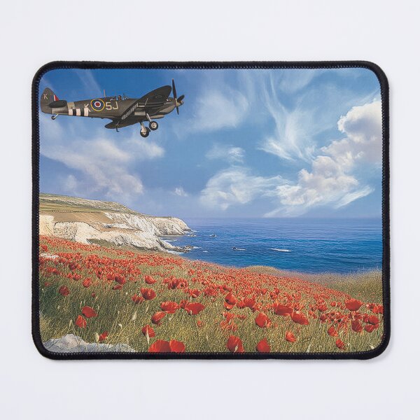 Item preview, Supermarine Spitfire Respect designed and sold by Skyframe Aviation.