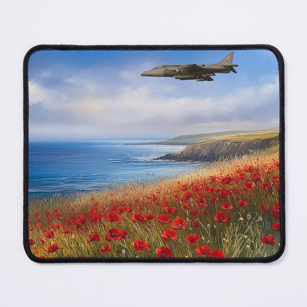 Item preview, Harrier GR9 Respect designed and sold by Skyframe Aviation.