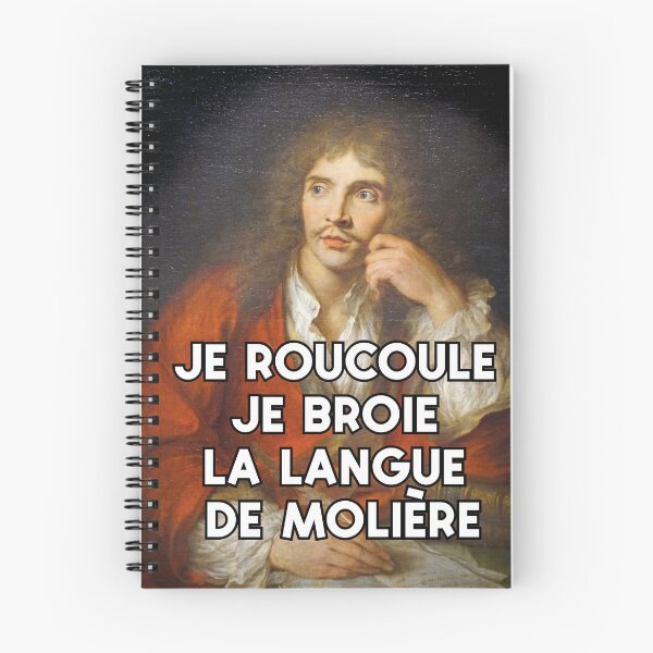 Item preview, "I coo, I grind the language of Molière" - Meme Legends series designed and sold by MarieBlly.