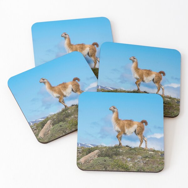Item preview, Guanaco designed and sold by Dave Hare Photography.