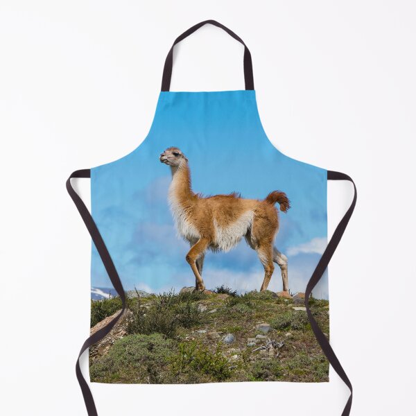 Item preview, Guanaco designed and sold by Dave Hare Photography.