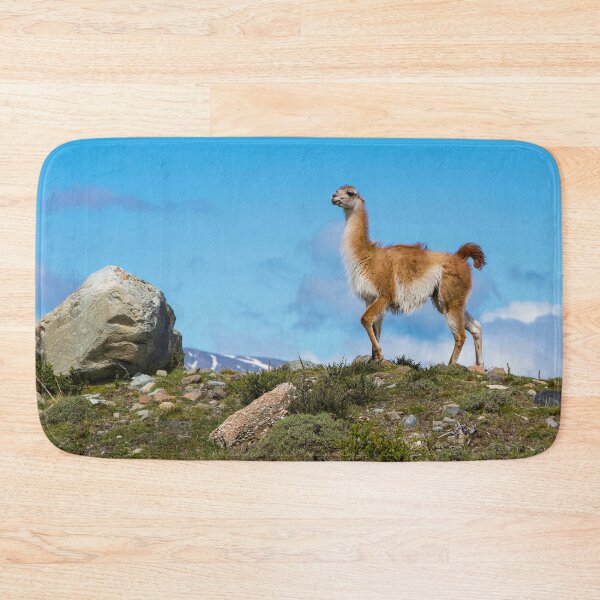 Item preview, Guanaco designed and sold by Dave Hare Photography.