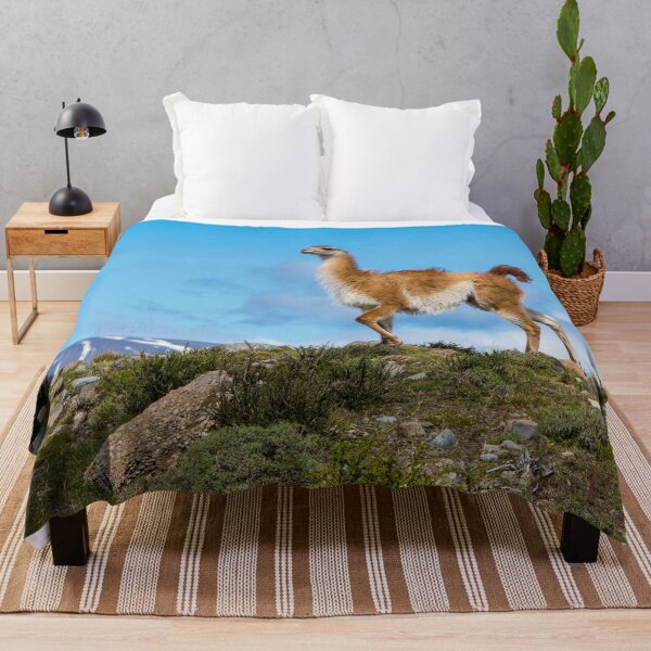 Item preview, Guanaco designed and sold by Dave Hare Photography.