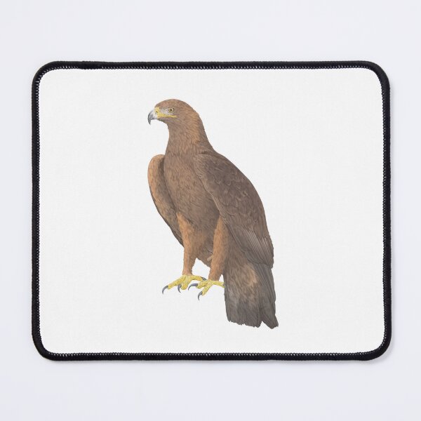 Item preview, Golden Eagle Bird Illustration designed and sold by Lauren Fitton Illustration.