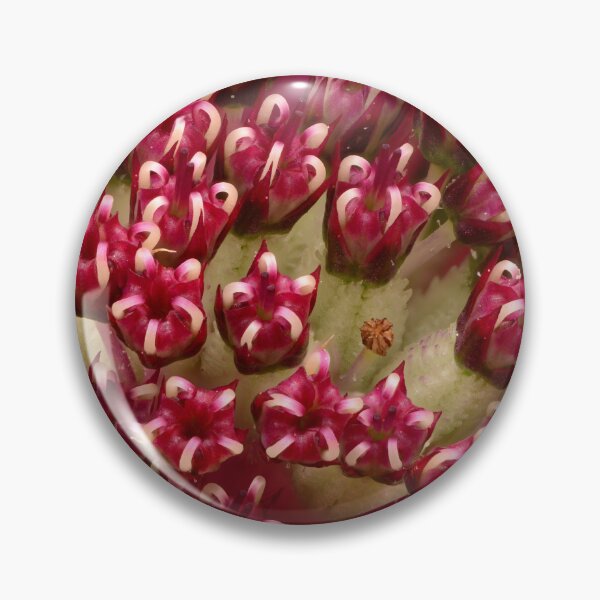 Item preview, Summer Flower Macro of Pink Astrantia Flower Center designed and sold by Goiko7Margarita.