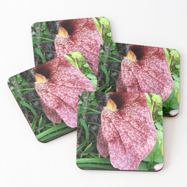 Item preview, Exotic Petal designed and sold by RosJoy.