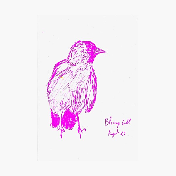 Item preview, Pink Bird designed and sold by EstherProduction.