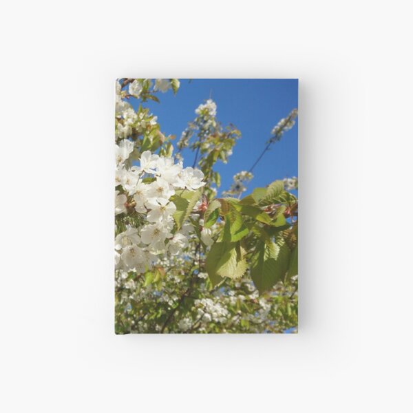 Item preview, White blossom, blue sky designed and sold by LittleBettyMakes.