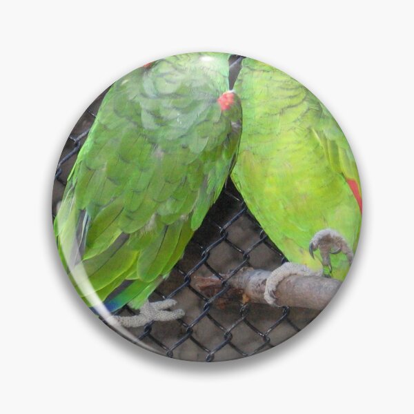 Item preview, Avian affection designed and sold by RosJoy.