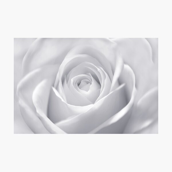 Item preview, ~Love is much like a wild rose, beautiful and calm, but willing to draw blood in its defense~ designed and sold by Janitka.