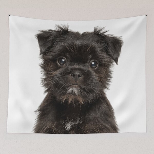 Item preview, Adorable Baby Affenpinscher for Cute Affie puppy lovers designed and sold by LazyOwlStore.