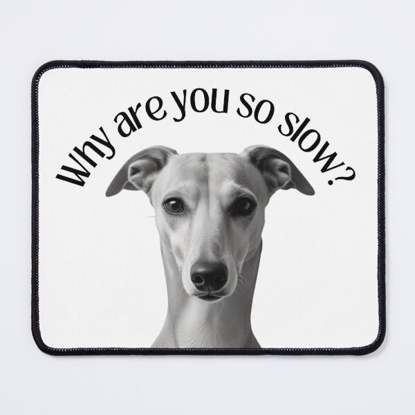 Item preview, Why are you so slow? Funny fast whippet or greyhound  designed and sold by HaychGee.