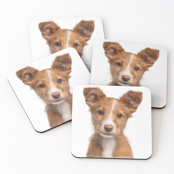 Item preview, Adorable Baby Portuguese Podengo Pequeno for Cute Pequeno puppy lovers designed and sold by LazyOwlStore.