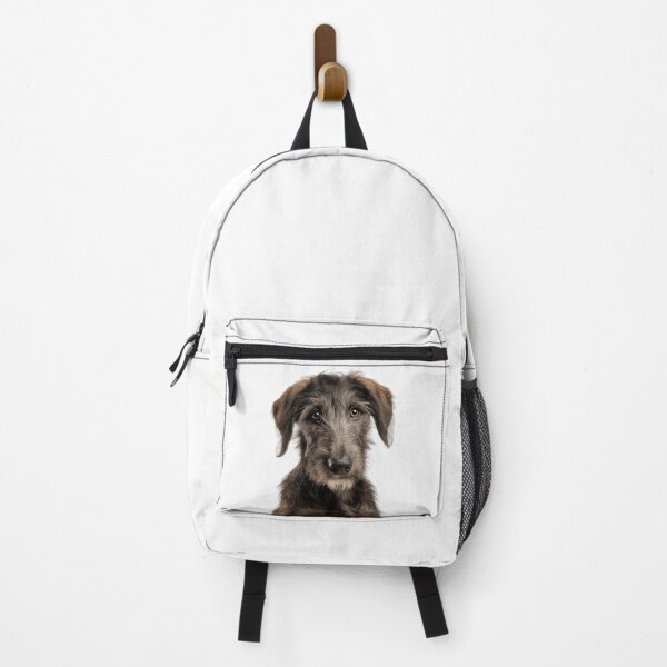Item preview, Adorable Baby Scottish Deerhound for Cute Deerhound puppy lovers designed and sold by LazyOwlStore.