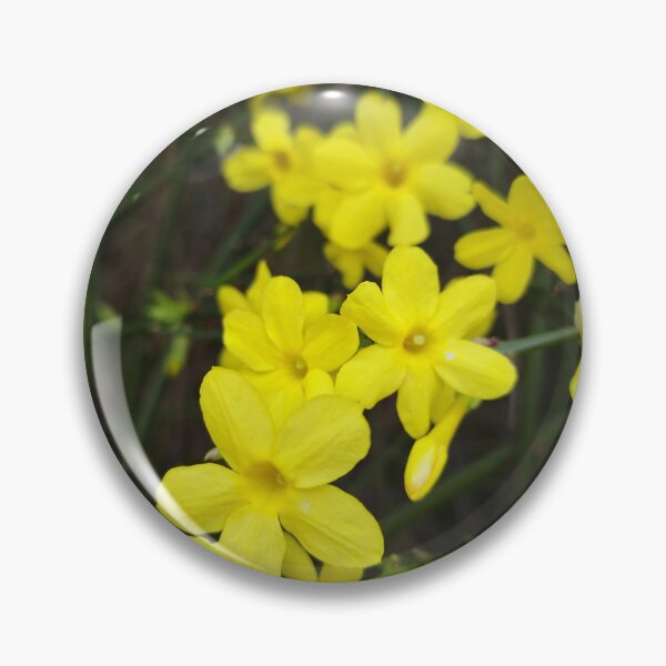 Item preview, Forsythia yellow flowers designed and sold by Myl3n3-A.