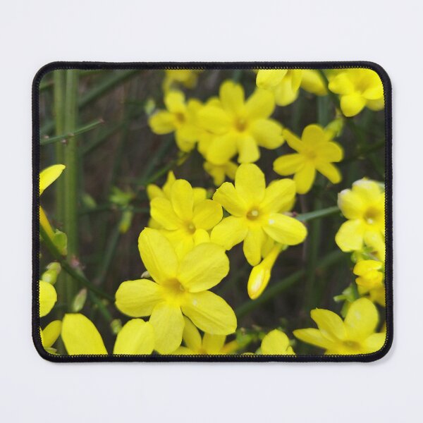 Item preview, Forsythia yellow flowers designed and sold by Myl3n3-A.