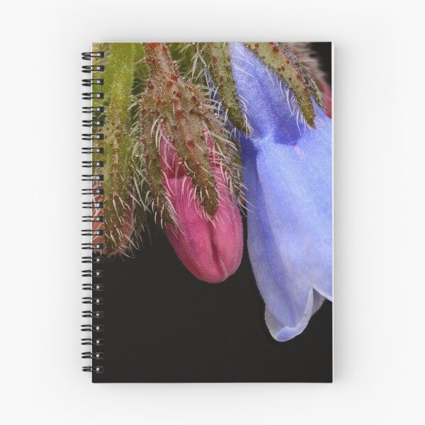 Item preview, Macro of Blue Comfrey Flower and Pink Buds designed and sold by Goiko7Margarita.