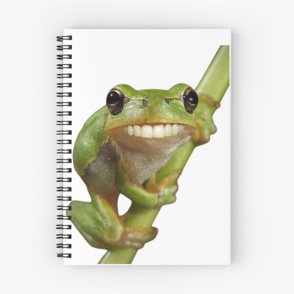 Item preview, Funny Gecko Meme with Human Smile on Branch designed and sold by AesthinkArt.