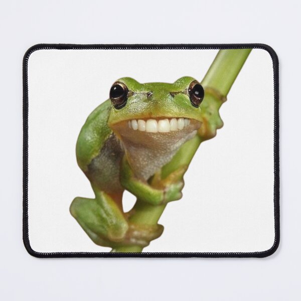 Item preview, Funny Gecko Meme with Human Smile on Branch designed and sold by AesthinkArt.