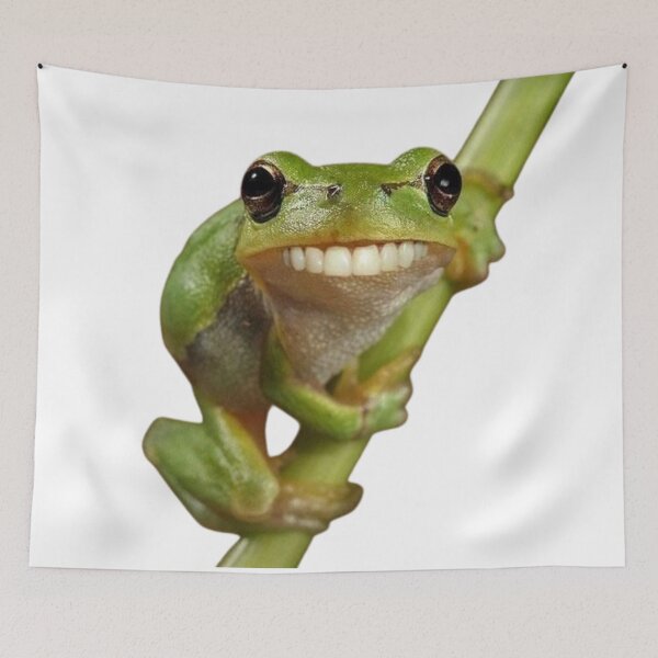 Item preview, Funny Gecko Meme with Human Smile on Branch designed and sold by AesthinkArt.