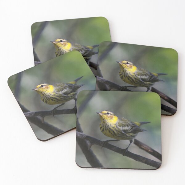 Item preview, Cape May Warbler designed and sold by EnglandEcology.